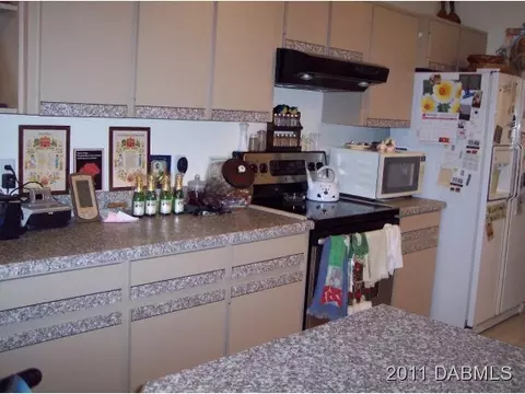 3326 Umbrella Tree Dr, Edgewater, FL 32141 photo 3