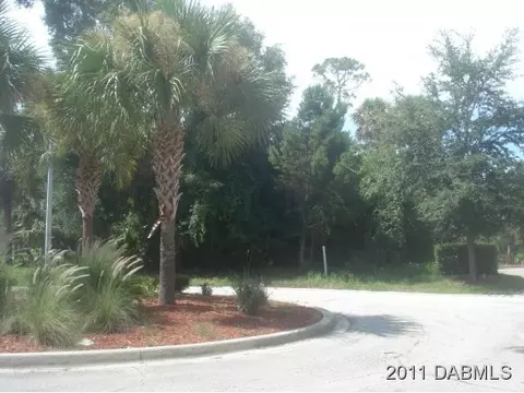 128 Squirrel Ln, Ormond Beach, FL 32174 photo 3