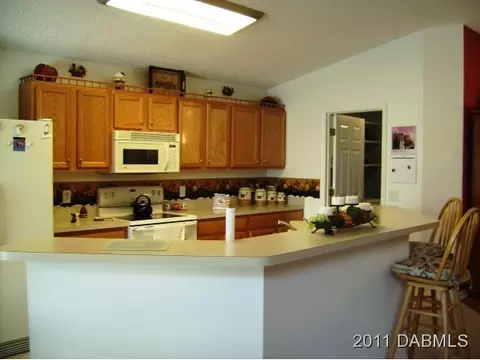 203 Tree Branch Ln, Edgewater, FL 32141 photo 9