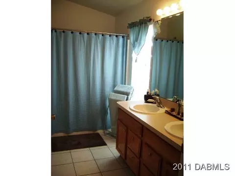 203 Tree Branch Ln, Edgewater, FL 32141 photo 13