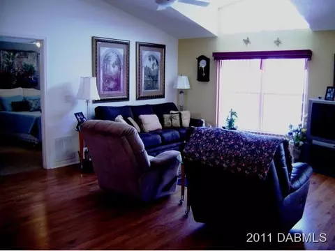 203 Tree Branch Ln, Edgewater, FL 32141 photo 5