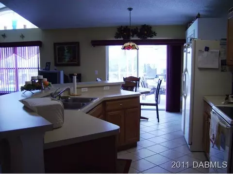 203 Tree Branch Ln, Edgewater, FL 32141 photo 10