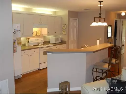 3218 India Palm Dr, Edgewater, FL 32141 photo 3