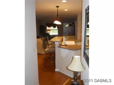 3218 India Palm Dr, Edgewater, FL 32141 photo 6