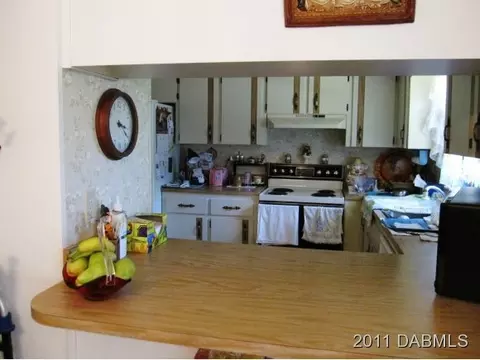 2004 Orange Tree Dr, Edgewater, FL 32141 photo 5