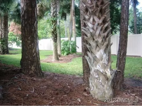 13 Treetop Cir, Ormond Beach, FL 32174 photo 23