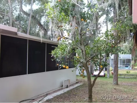 121 Oak Ridge Ave, Edgewater, FL 32132 photo 20
