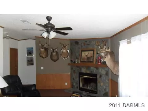 5764 Chestnut Ave, Bunnell, FL 32110 photo 4
