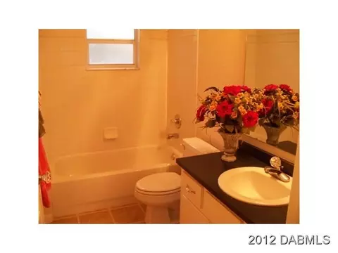 2816 Umbrella Tree Dr, Edgewater, FL 32141 photo 8