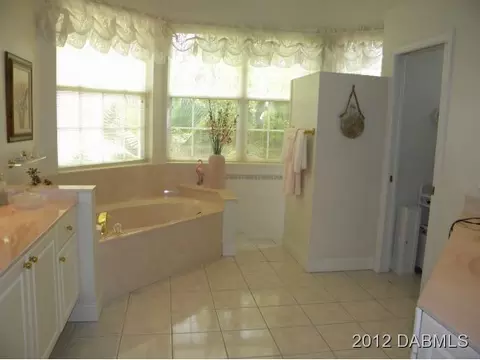 6 Lost Spring Way, Ormond Beach, FL 32174 photo 6