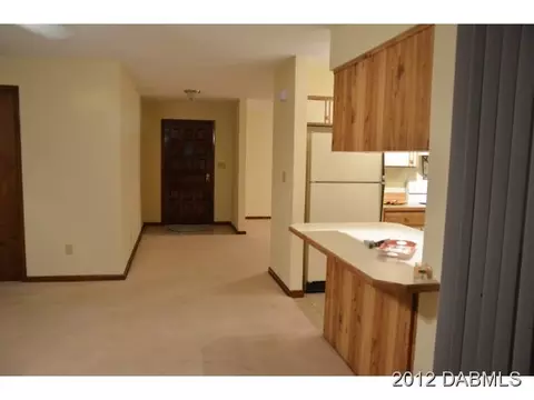 116 Sand Dunes Dr, Ormond Beach, FL 32176 photo 14