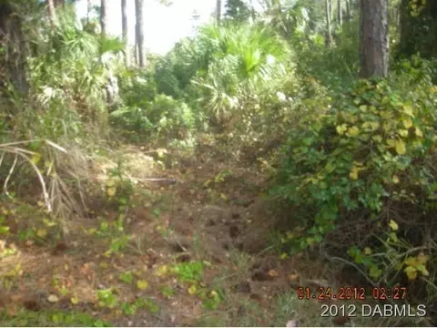 112 Godfrey Rd, Edgewater, FL 32141 photo 5