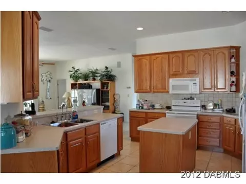125 Palm Breeze Dr, Edgewater, FL 32141 photo 13