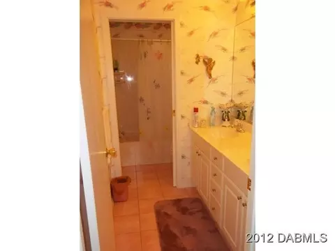 235 Conifer Ln, Ormond Beach, FL 32174 photo 16