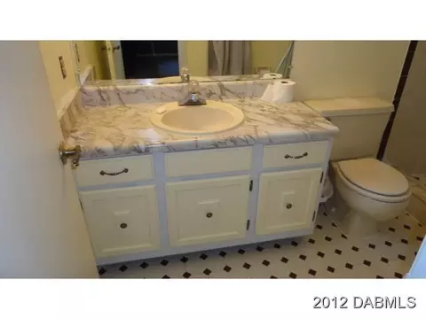 2417 Royal Palm Dr, Edgewater, FL 32141 photo 11