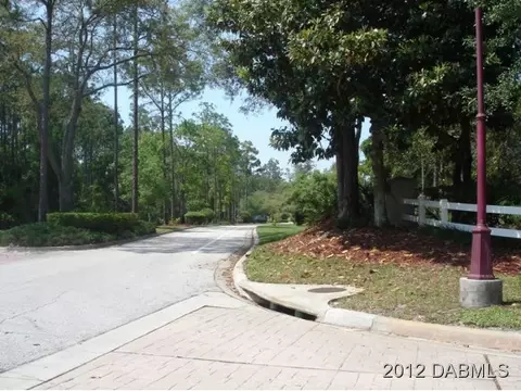 11 Black Pine Way, Ormond Beach, FL 32174 photo 8