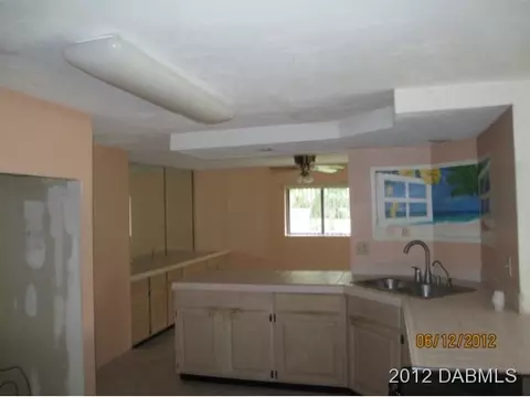 233 Chippewa Cir, Ormond Beach, FL 32174 photo 5