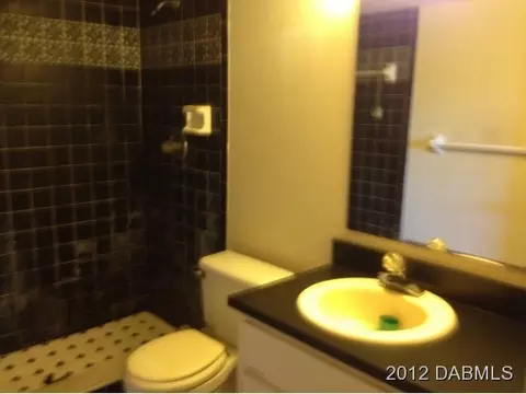 2130 Needle Palm Dr, Edgewater, FL 32141 photo 10