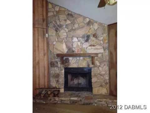 2130 Needle Palm Dr, Edgewater, FL 32141 photo 4