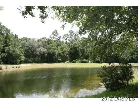 218 Sagebrush Trl, Ormond Beach, FL 32174 photo 20