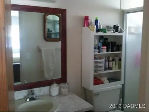 2226 Pine Tree Dr, Edgewater, FL 32141 photo 8