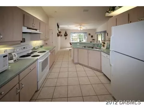 1317 Queen Palm Dr, Edgewater, FL 32132 photo 3