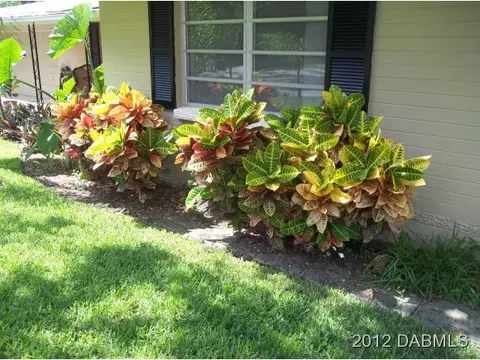 23 Willis Dr, Ormond Beach, FL 32176 photo 18