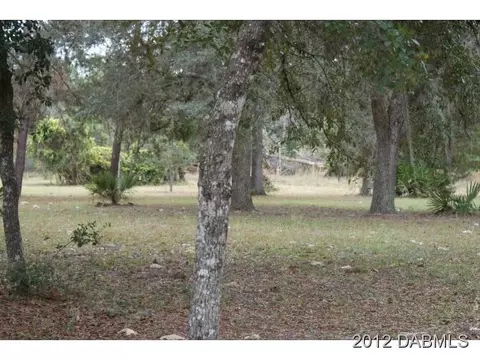 32550 Hill St, Eustis, FL 32726 photo 17