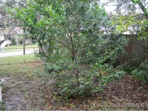 1299 Biltmore Dr, Ormond Beach, FL 32174 photo 10