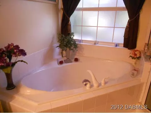 3512 Mango Tree Dr, Edgewater, FL 32141 photo 15
