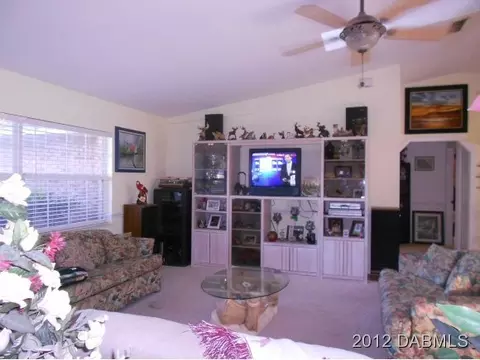 3512 Mango Tree Dr, Edgewater, FL 32141 photo 10