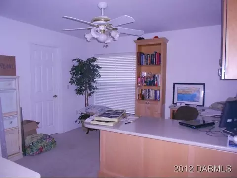 3512 Mango Tree Dr, Edgewater, FL 32141 photo 19