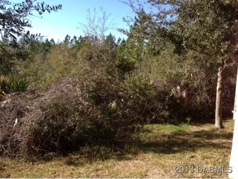 77 Westland Run, Ormond Beach, FL 32174 photo 17