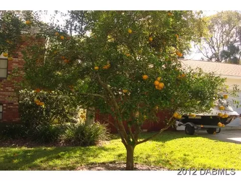 18 Domicilio Ave, Ormond Beach, FL 32174 photo 15