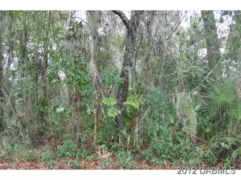 40 Spanish Oak Ln, Ormond Beach, FL 32174 photo 1