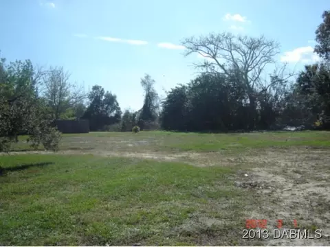 177 W Oak, Hill, FL 32759 photo 2
