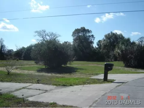 177 W Oak, Hill, FL 32759 photo 7
