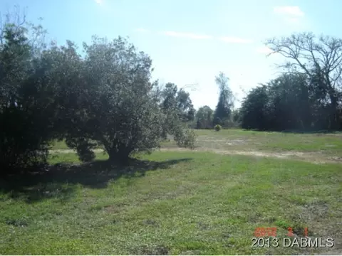 177 W Oak, Hill, FL 32759 photo 4