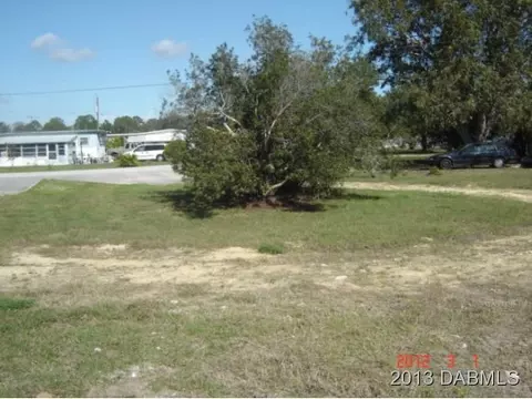 177 W Oak, Hill, FL 32759 photo 8