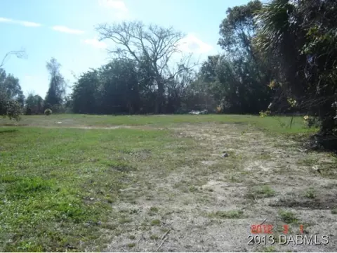 177 W Oak, Hill, FL 32759 photo 5