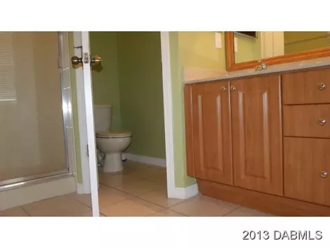 11008 Holly Cone Dr, Riverview, FL 33569 photo 9