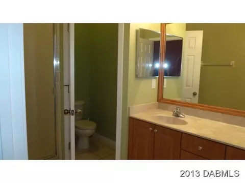 11008 Holly Cone Dr, Riverview, FL 33569 photo 10