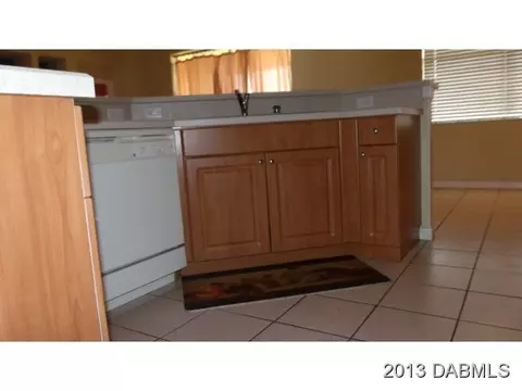 11008 Holly Cone Dr, Riverview, FL 33569 photo 4