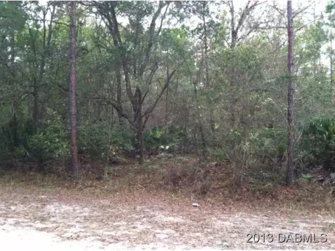 180 Pinto Ln, Ormond Beach, FL 32174 photo 1