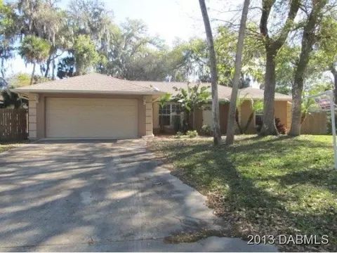 3125 Needle Palm Dr, Edgewater, FL 32141 photo 1