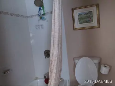 3421 Mango Tree Dr, Edgewater, FL 32141 photo 12