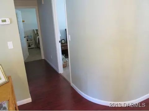 3421 Mango Tree Dr, Edgewater, FL 32141 photo 18