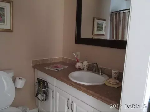 3421 Mango Tree Dr, Edgewater, FL 32141 photo 11