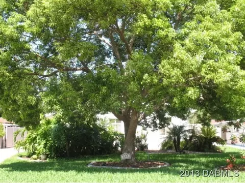 605 Mcintosh Rd, Ormond Beach, FL 32174 photo 2