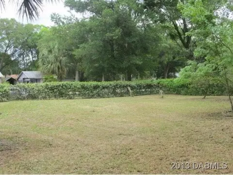3002 Silver Palm Dr, Edgewater, FL 32141 photo 13